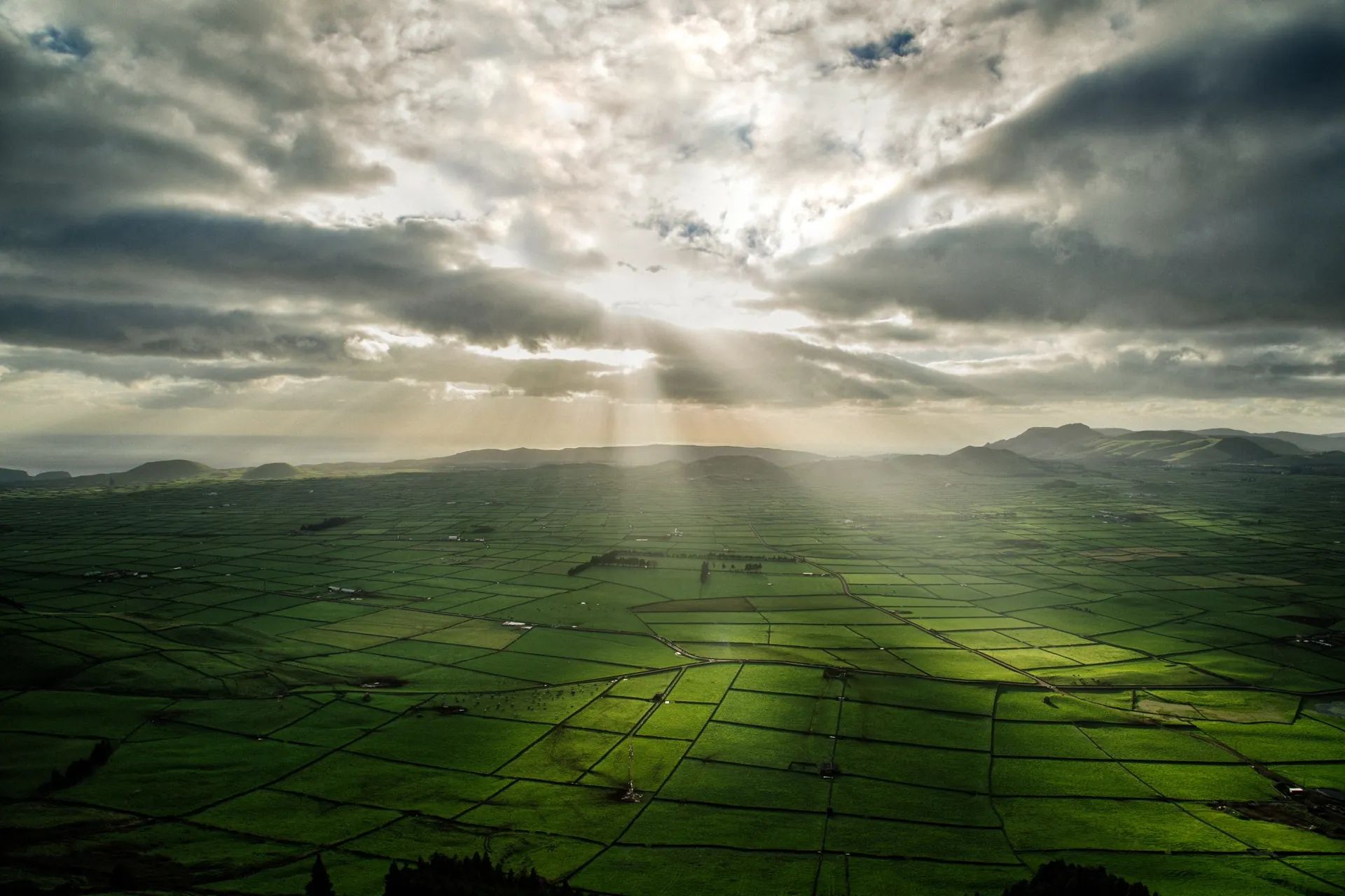 Wide Nashik-style orchard landscape