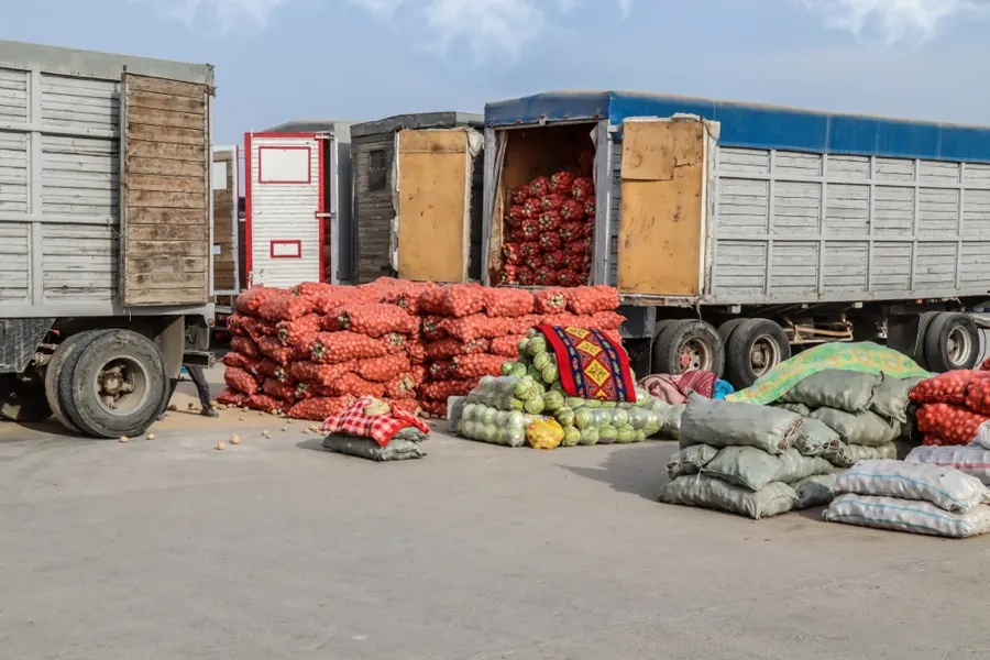 Export cartons on pallets