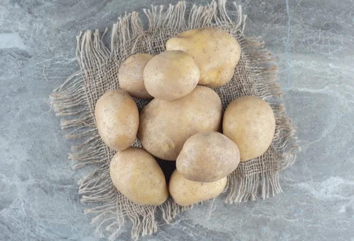 Cured potatoes in mesh bags