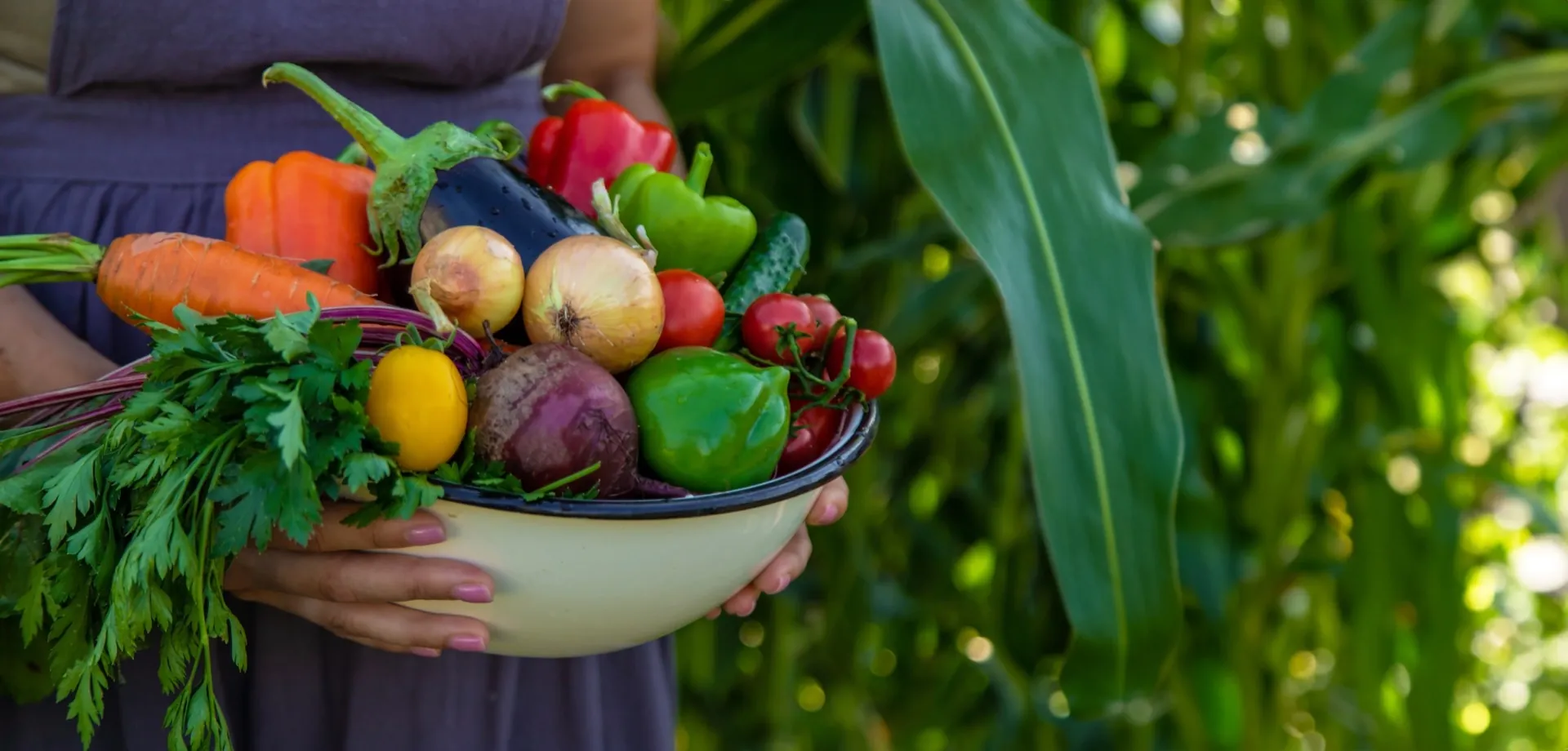 Assorted fresh Indian fruits and vegetables in export crates